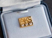 AKS 領章的出版品圖片