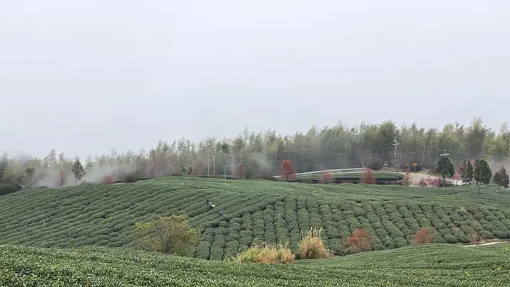 雲嶺之丘｜把例會帶進山林